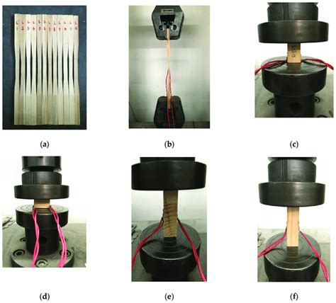 compression test wood specimen|Standard Test Methods for Wood.